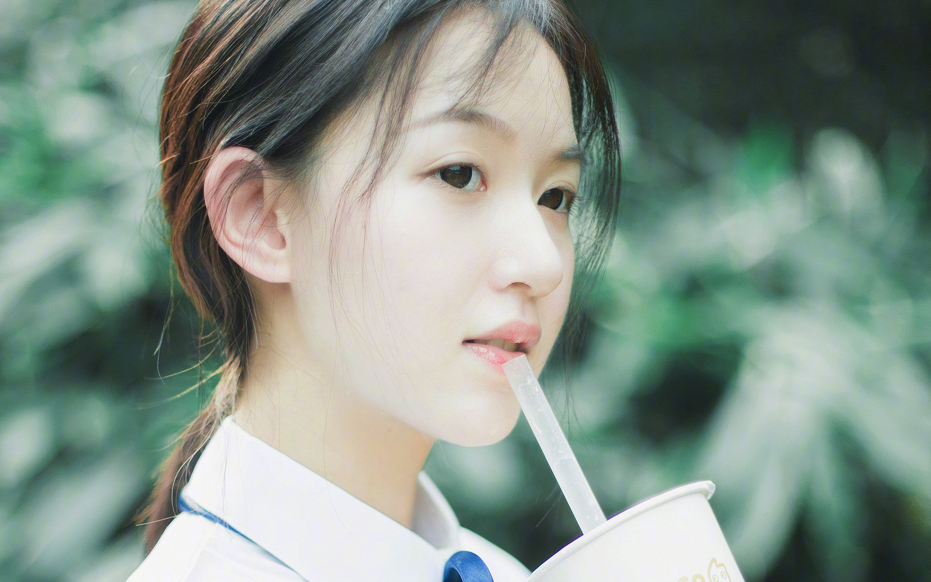 _职业摔跤：热血挑战常规体育规则_，职业摔跤联盟游戏怎么玩