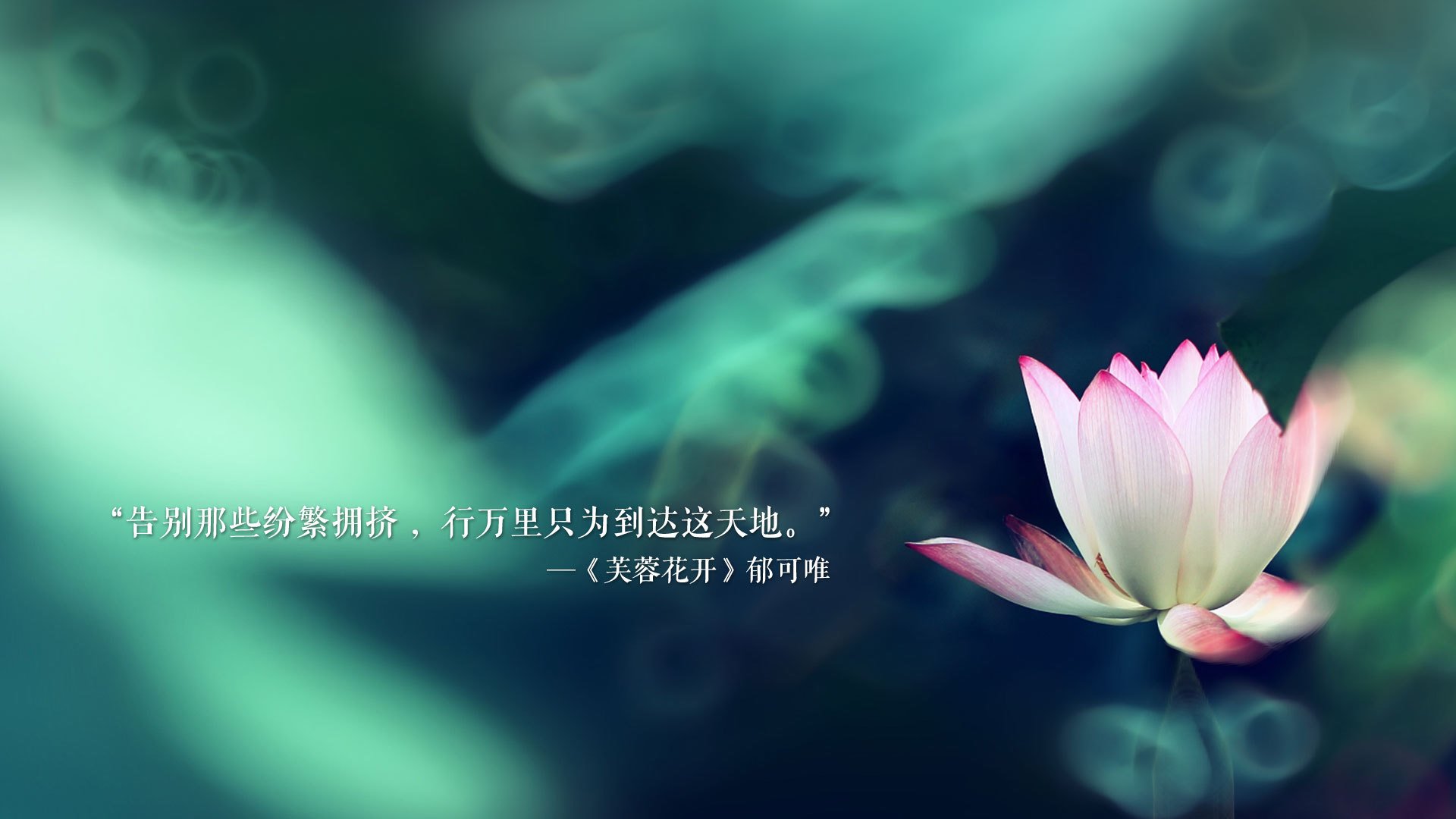 开云平台-“英超焦点：新星闪耀，助力争冠”，英超当红新星