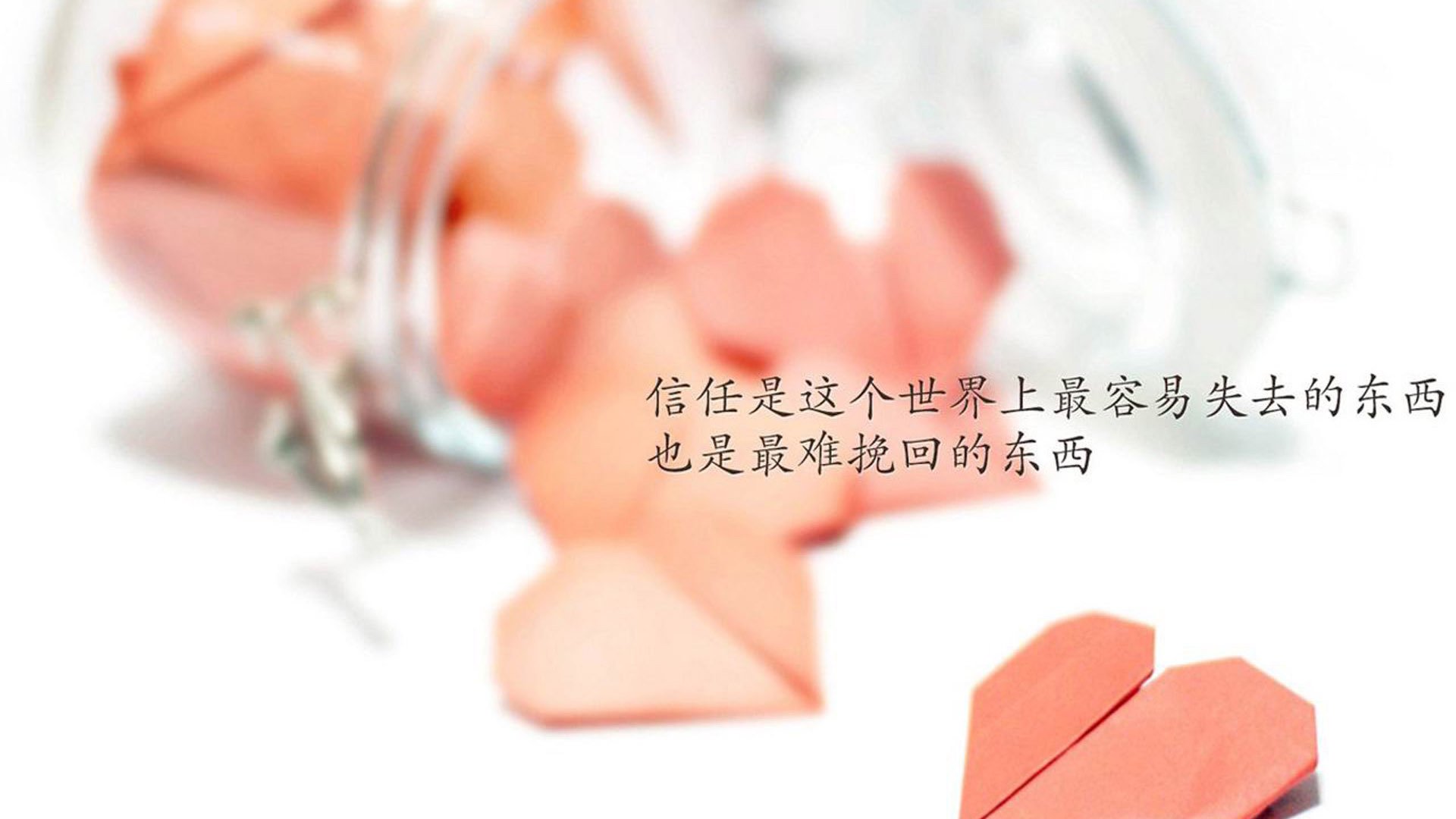 比赛战况：名将郑重挑战新晋黑马