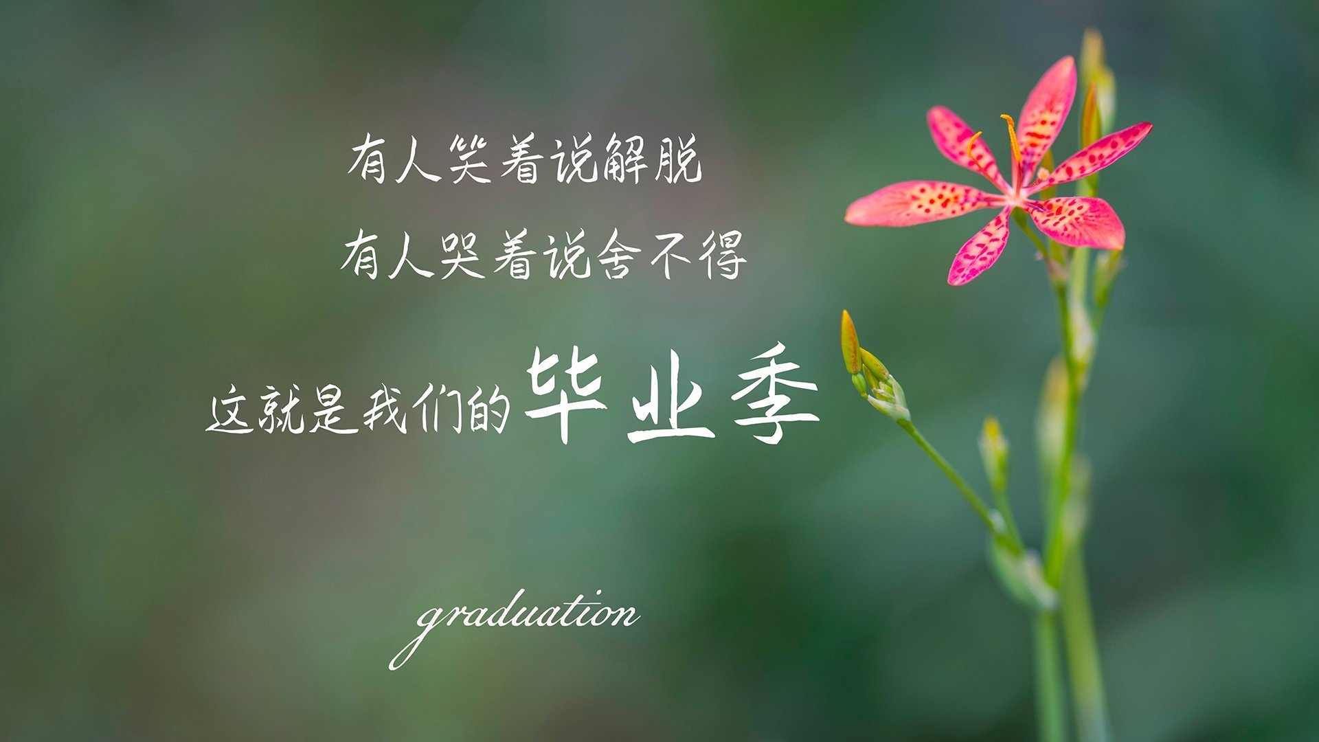 五大联赛是否仍是世界顶级球员首选目的地,五大联赛的球星