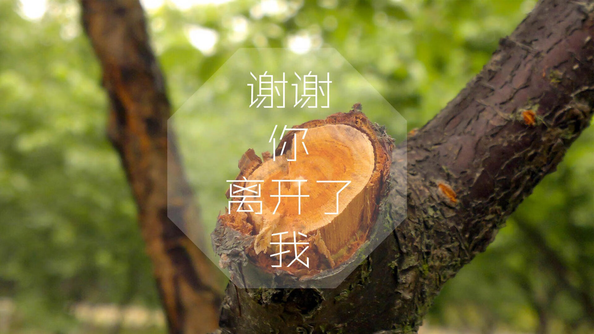 新西兰全黑队的防守精确而迅速，给对方施加巨大的压力，新西兰队长