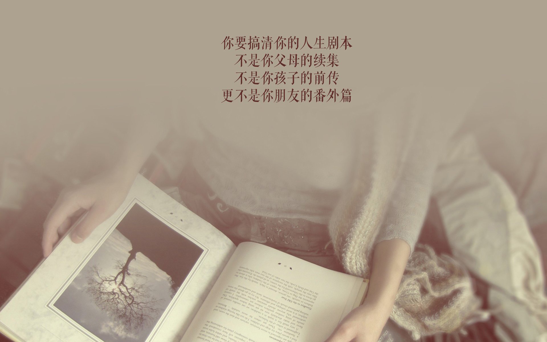 欧洲杯绝地反击：战术变革逆转乾坤，决战欧洲杯